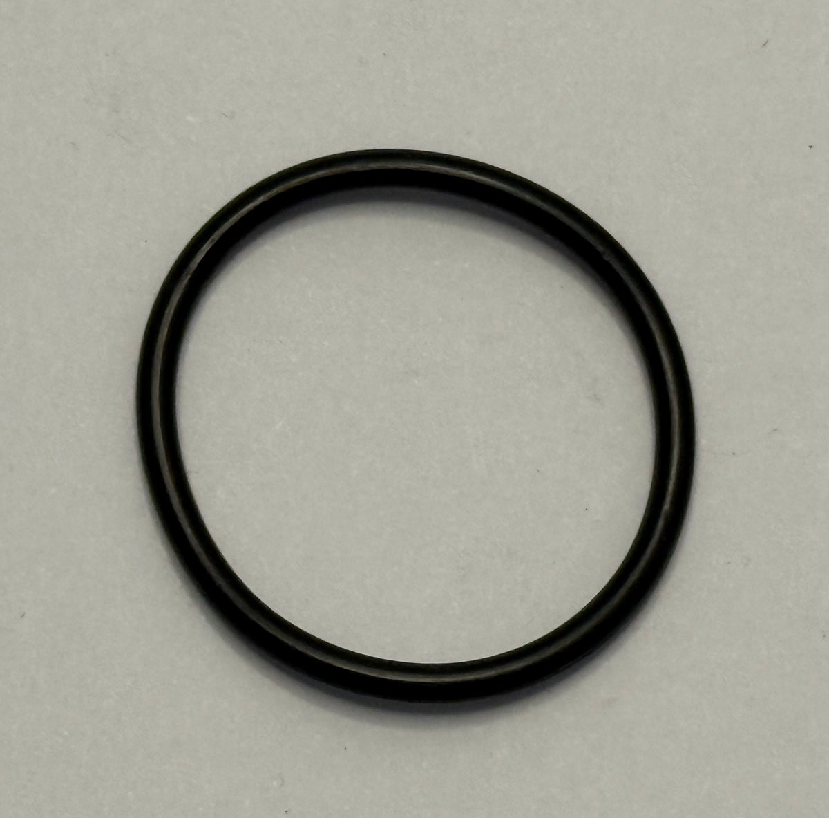 Jaguar OIL GALLERY O'RING EAC2495