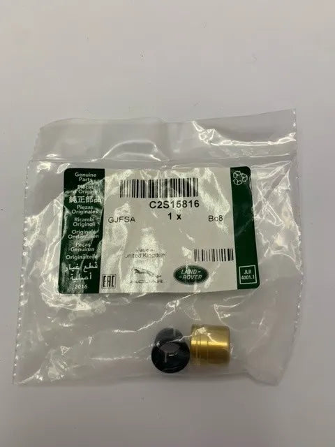 BRAKE BOOSTER KIT C2S15816-Jaguar-Sovereign Auto