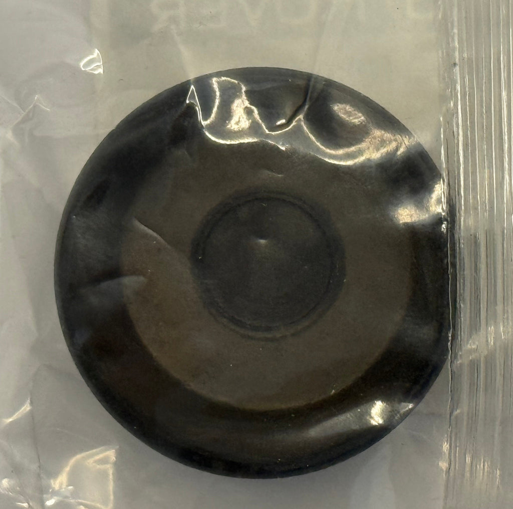 Land Rover CAMSHAFT END CAP LUC100150