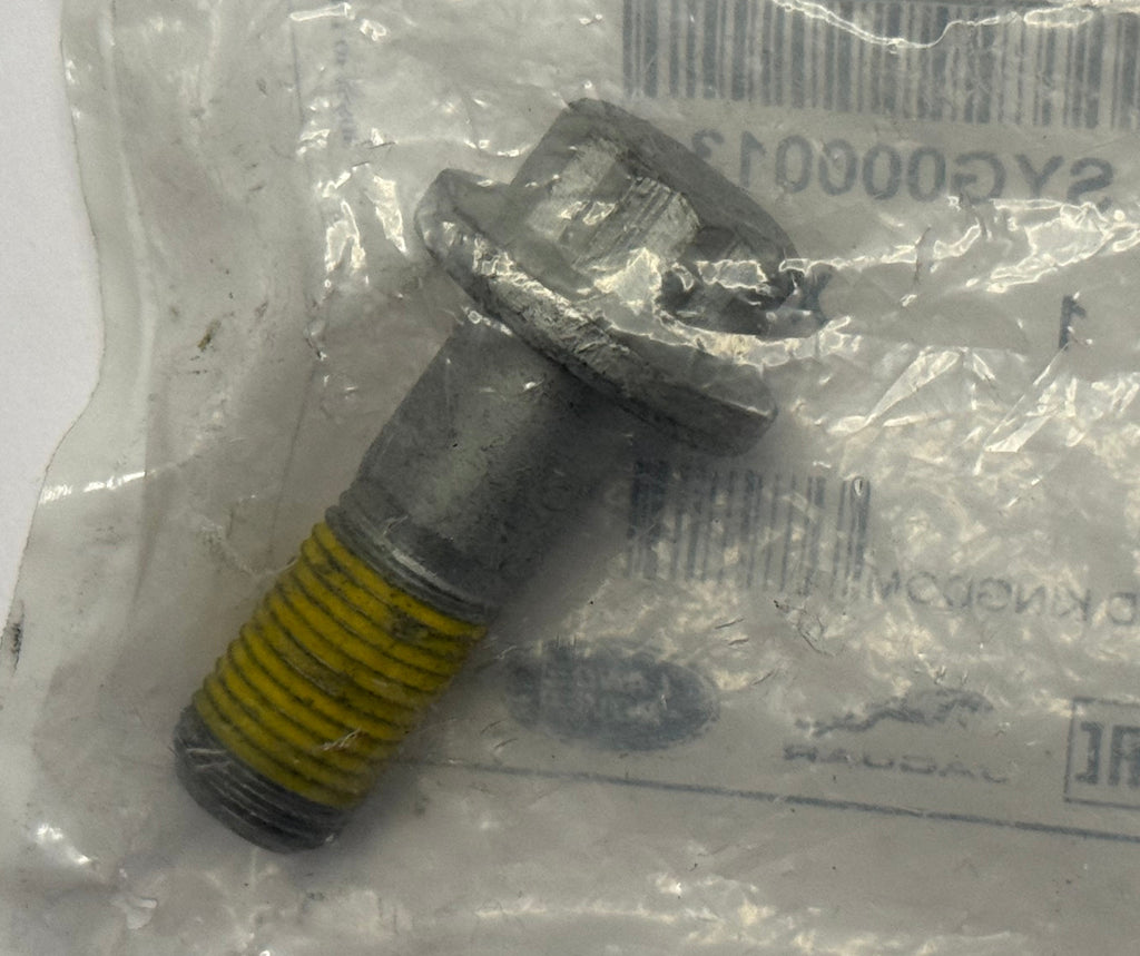 Land Rover, Range Rover REAR CALIPER BOLT SYG000013