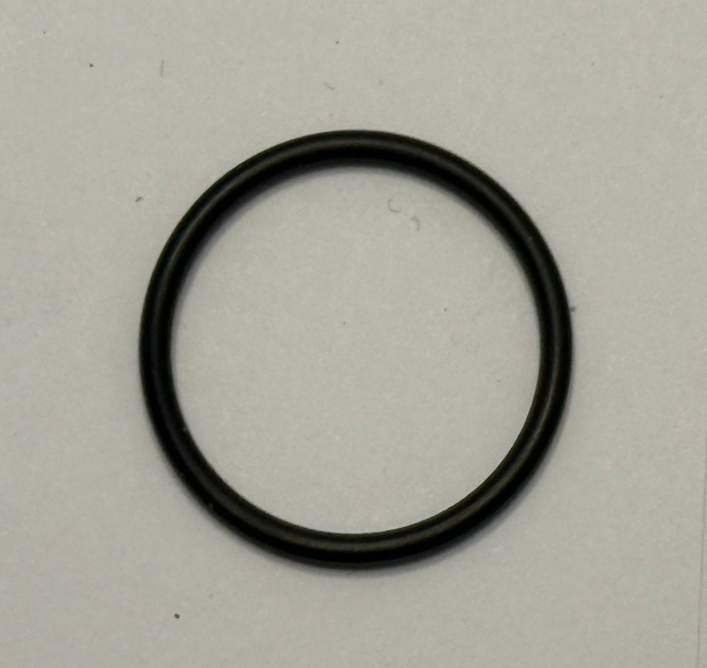 Jaguar DISTRIBUTOR O RING 9938