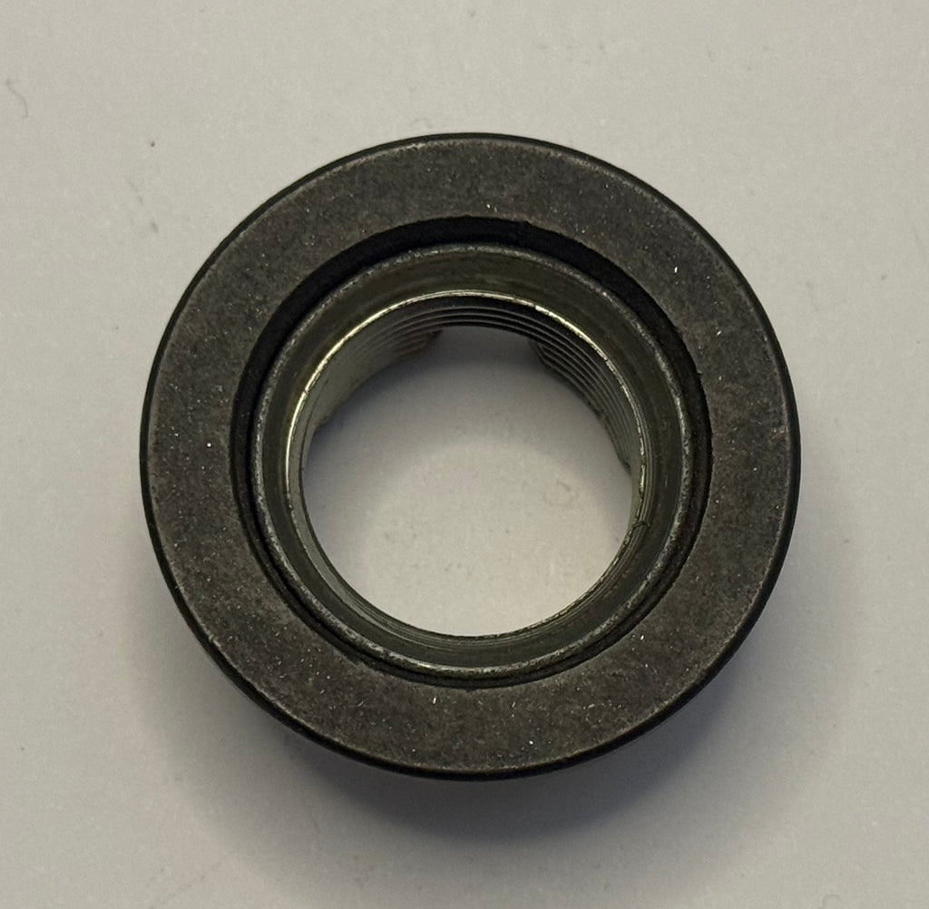 Jaguar NUT C2P12731