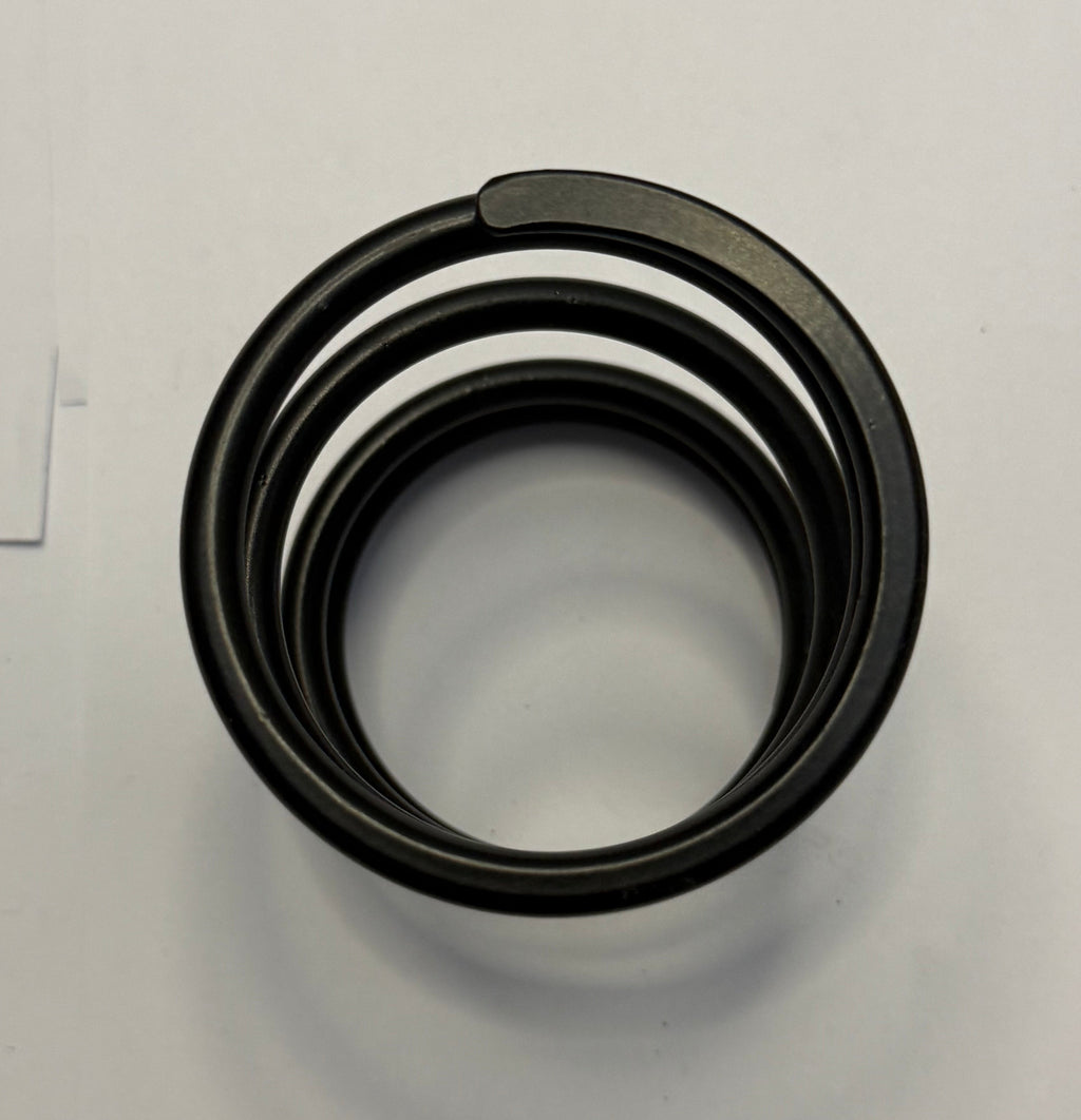 Jaguar TRANSMISSION MOUNT SPRING JC12299