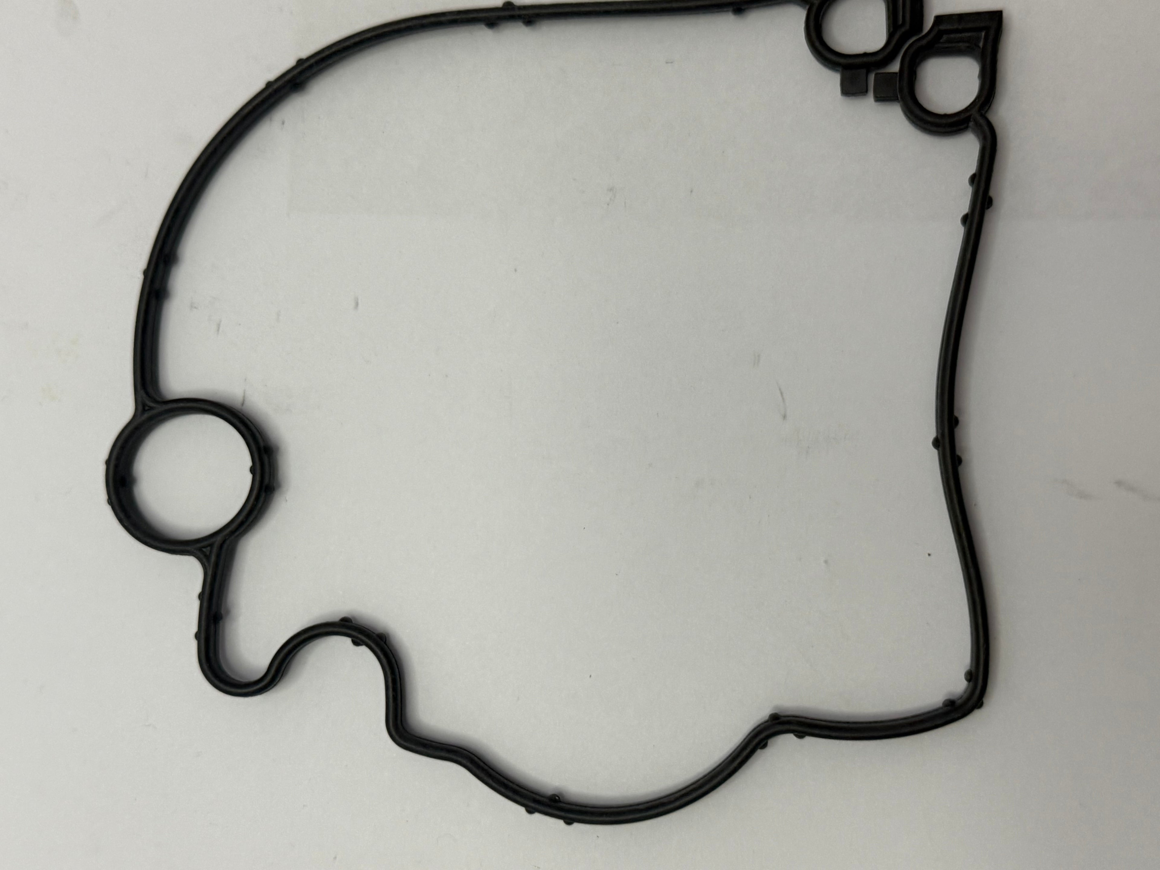 Land Rover OIL PUMP SEAL 1316139