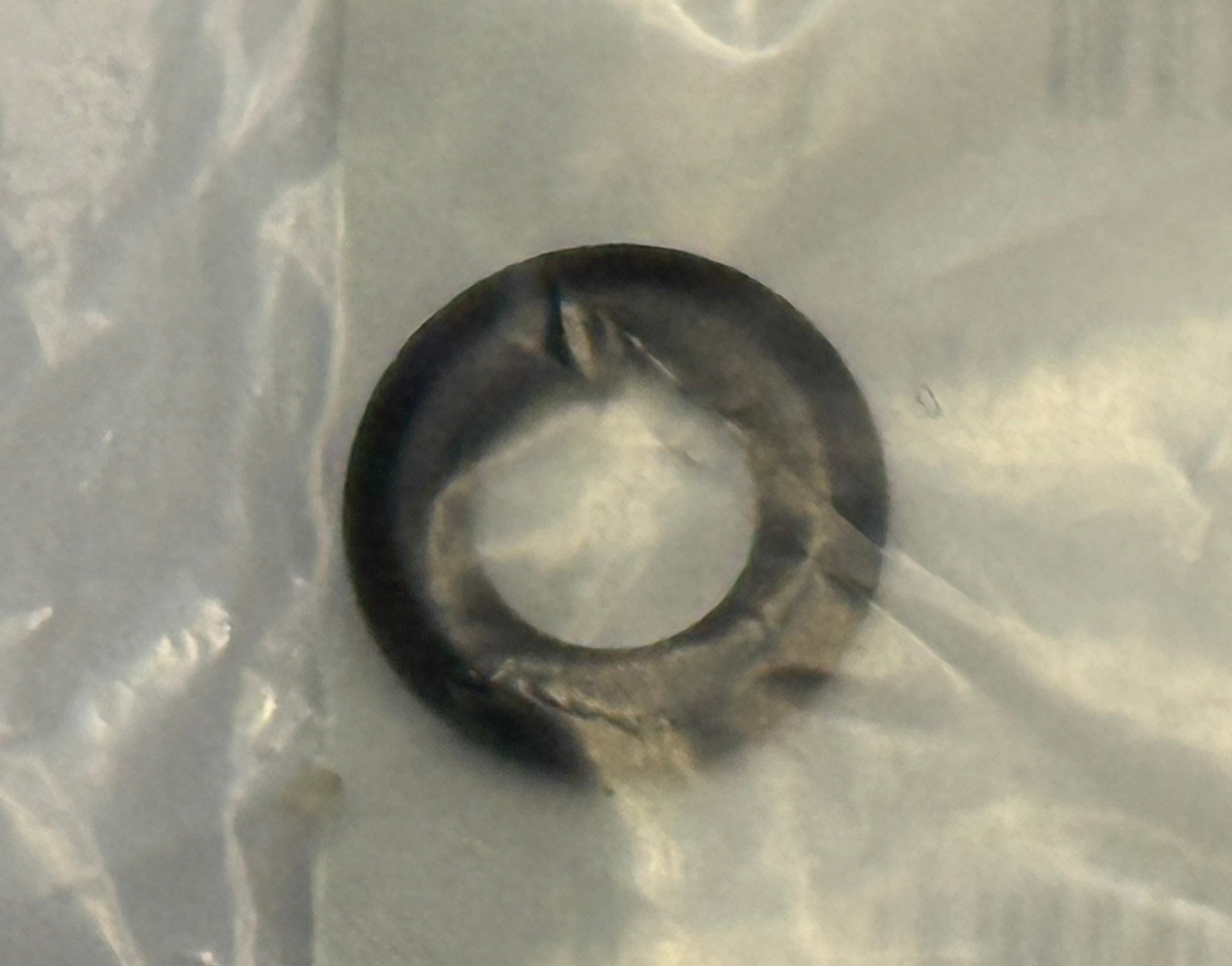 Land Rover O-RING LR031819